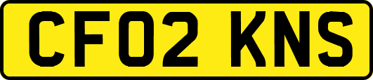 CF02KNS