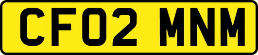 CF02MNM