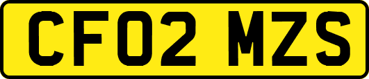 CF02MZS