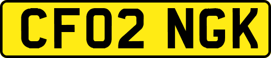 CF02NGK