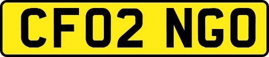 CF02NGO