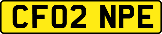 CF02NPE