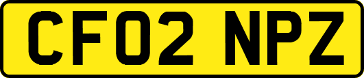 CF02NPZ