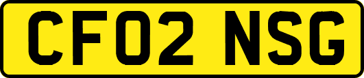 CF02NSG