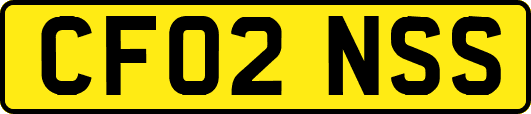 CF02NSS