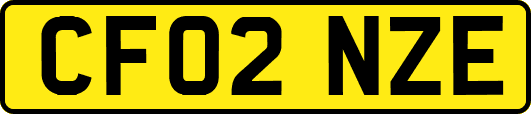 CF02NZE