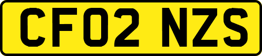 CF02NZS