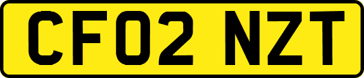 CF02NZT