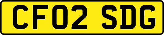 CF02SDG