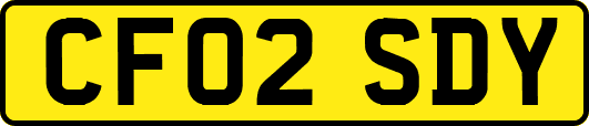 CF02SDY