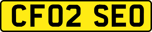 CF02SEO