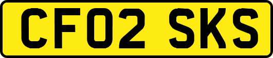 CF02SKS