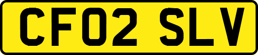 CF02SLV