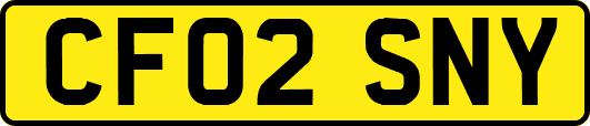 CF02SNY