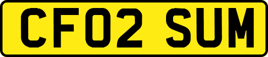 CF02SUM