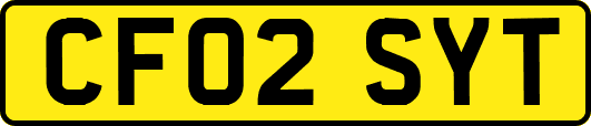 CF02SYT