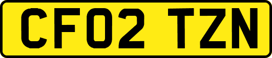 CF02TZN
