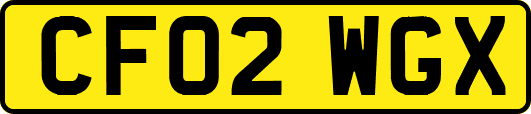 CF02WGX
