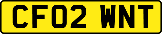 CF02WNT