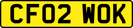 CF02WOK