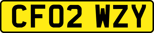 CF02WZY