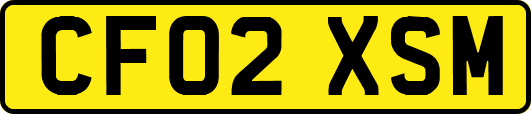 CF02XSM