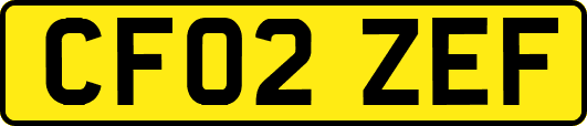 CF02ZEF