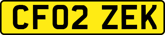CF02ZEK