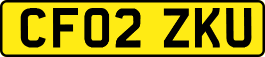 CF02ZKU