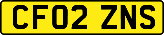 CF02ZNS
