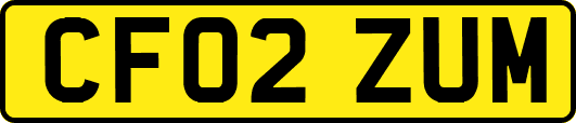 CF02ZUM