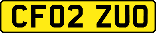 CF02ZUO
