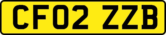 CF02ZZB
