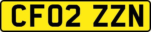 CF02ZZN