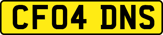 CF04DNS