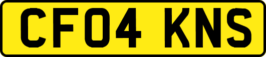 CF04KNS