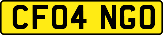 CF04NGO