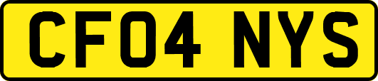 CF04NYS