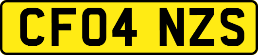 CF04NZS