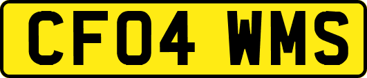 CF04WMS