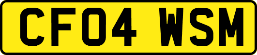 CF04WSM