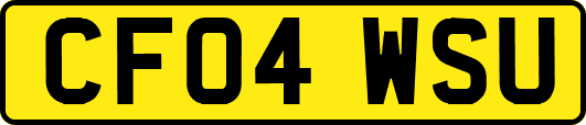 CF04WSU