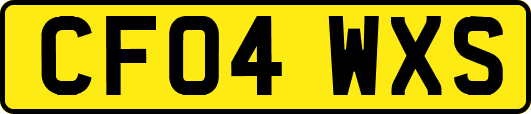 CF04WXS