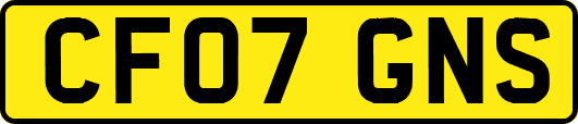 CF07GNS