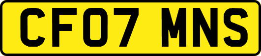 CF07MNS