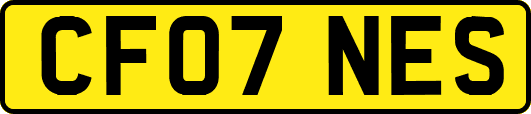 CF07NES
