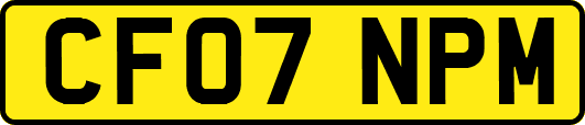 CF07NPM