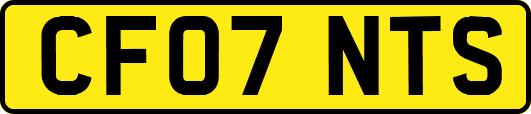 CF07NTS