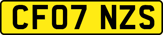 CF07NZS