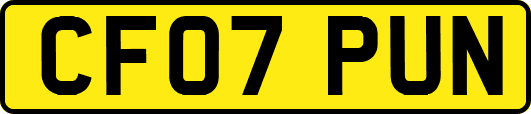 CF07PUN